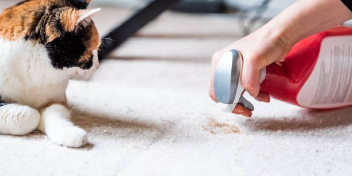 Child and Pet Safe Carpet Cleaning