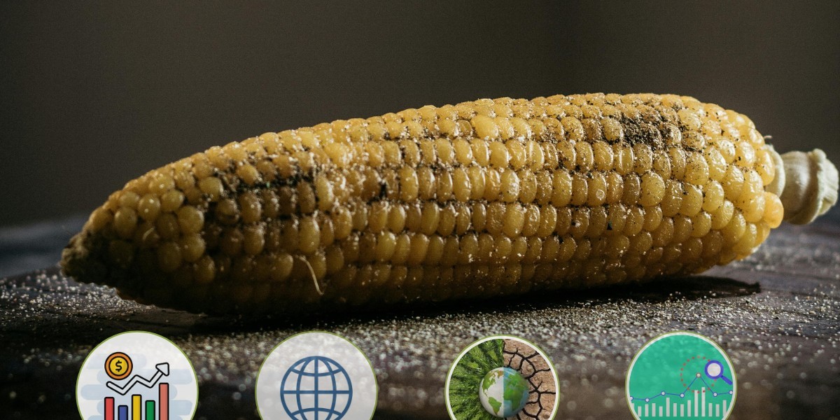 What You Didn’t Know About the Sweet Corn Seed Market Could Change Everything