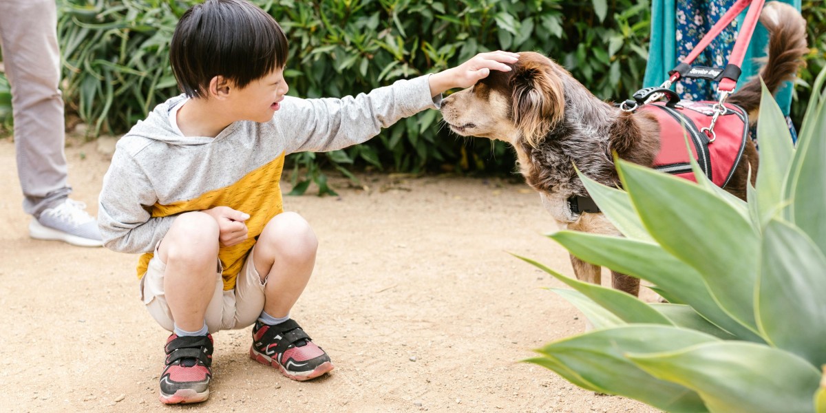 ABA Therapy in Virginia: Empowering Children to Thrive