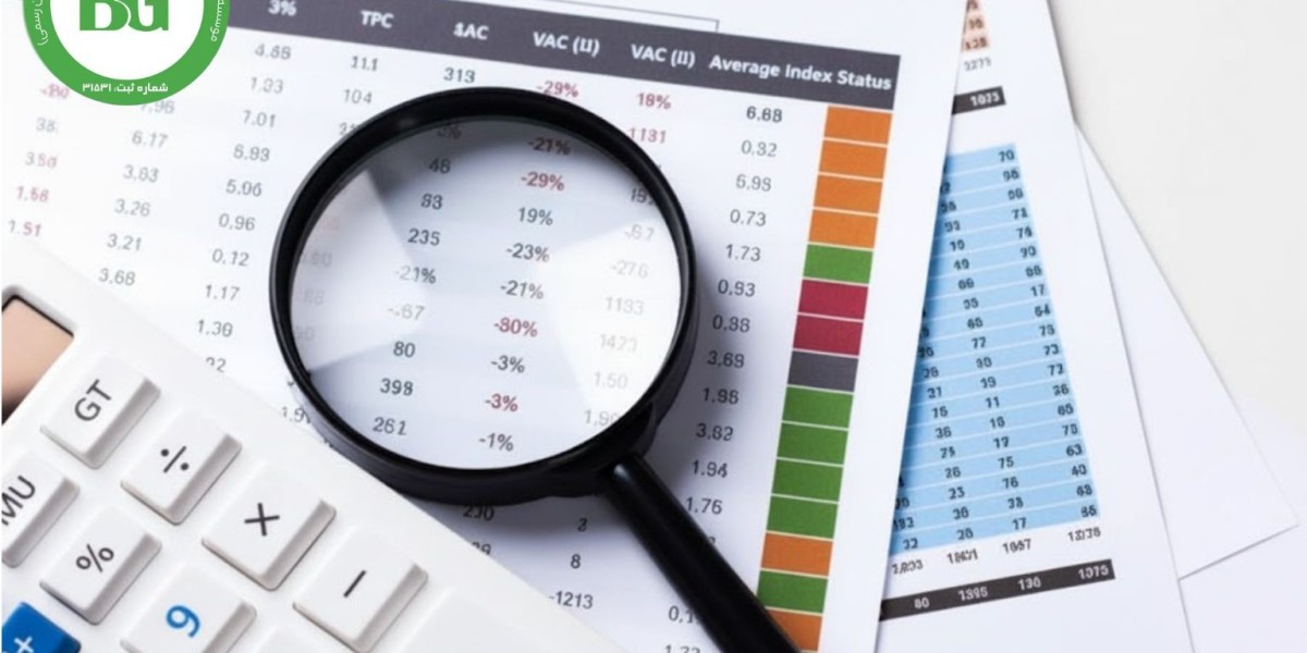 Bilan Gozarshgar Audit Firm – More than a Decade of Trusted Audits