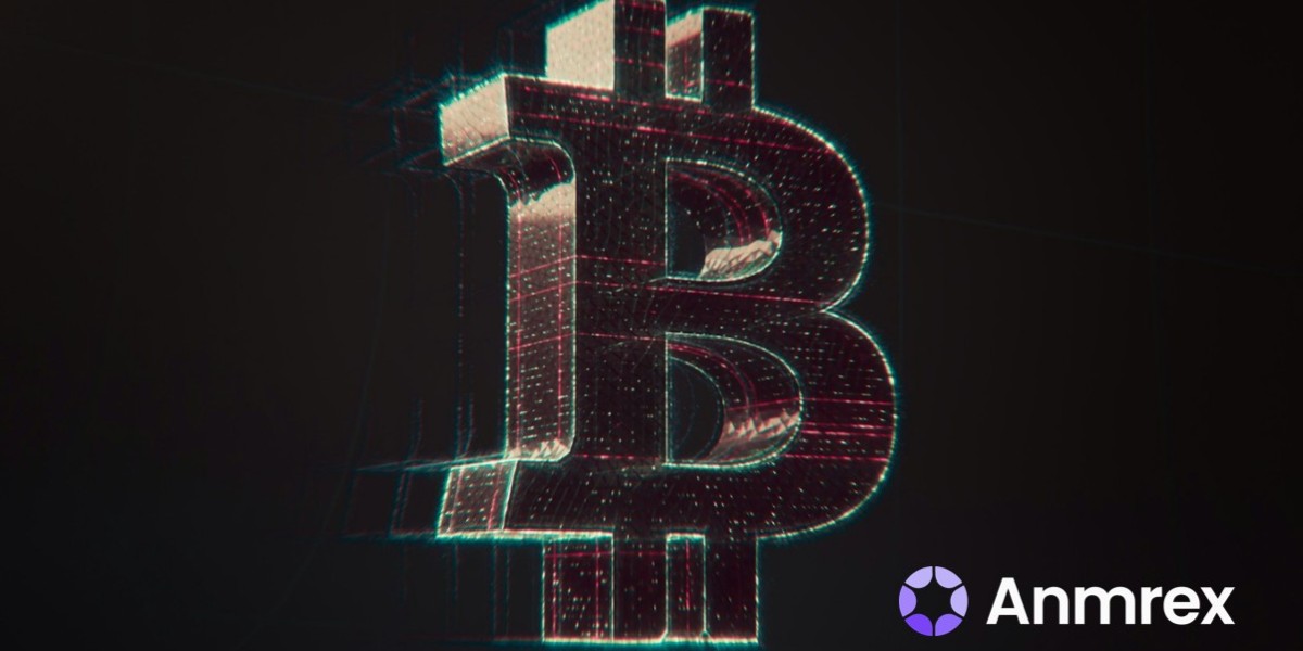 Anmrex Exchange: Professional Perspective During Market Volatility