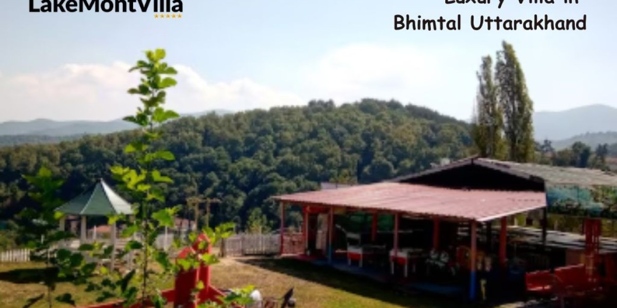 Why Travelers Prefer Homestays Over Hotels in Bhimtal: Comfort, Budget & Local Touch