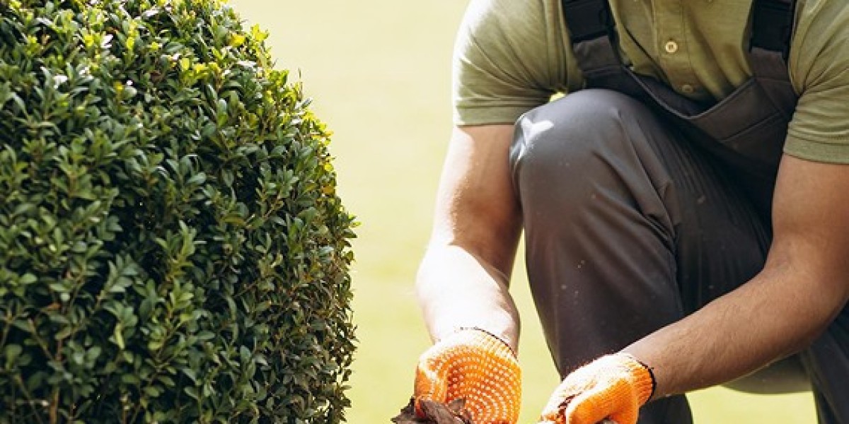 Enhance Your Property with A2Z Landscaping and Fencing in Oakhurst, Sydney