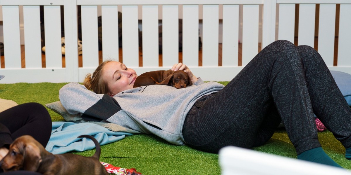 Bringing Wellness to Life: How Puppy Yoga Classes in London Inspire Positivity