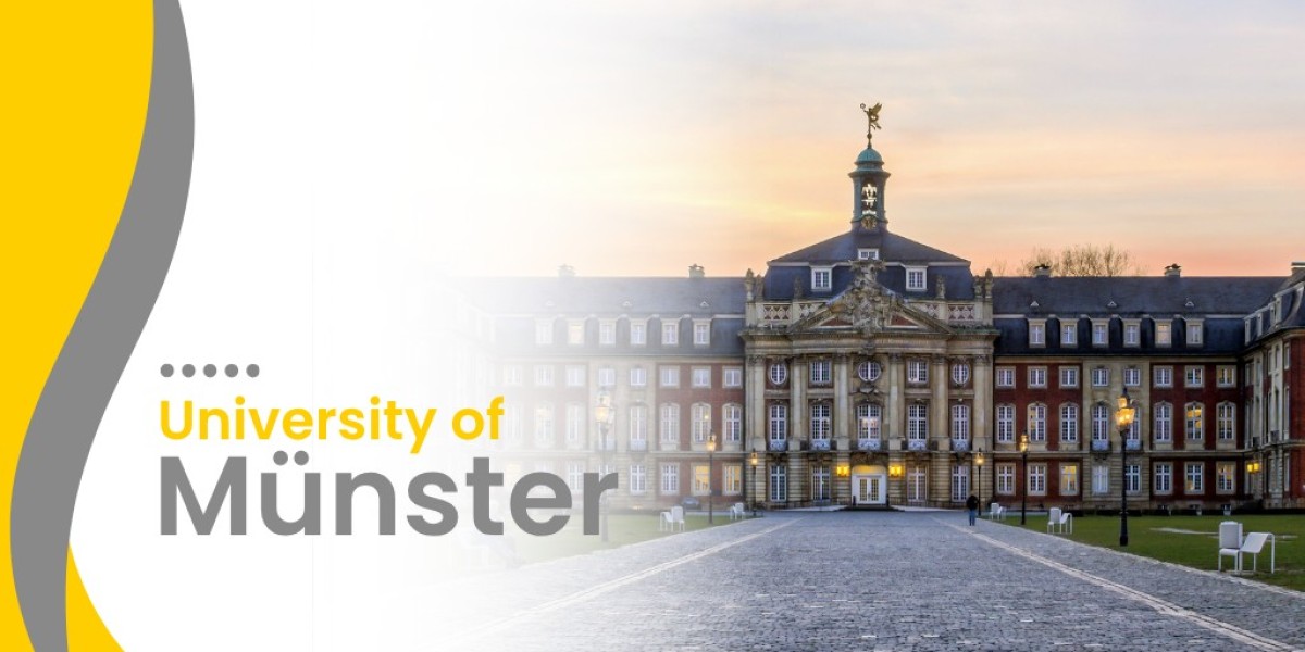 How Yes Germany Helps Students Master German Language Levels (A1–C1)
