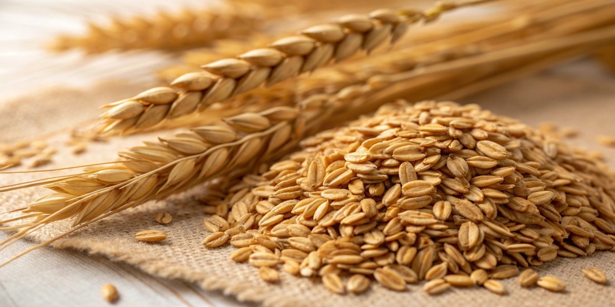 Oats Price Index 2025: Price Chart Direction and Forecast Movement