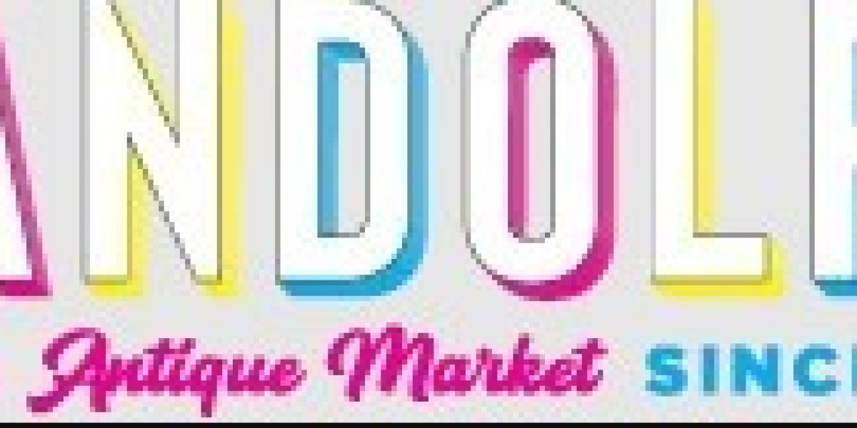 What Is the Randolph Street Market and Why Is It So Popular?