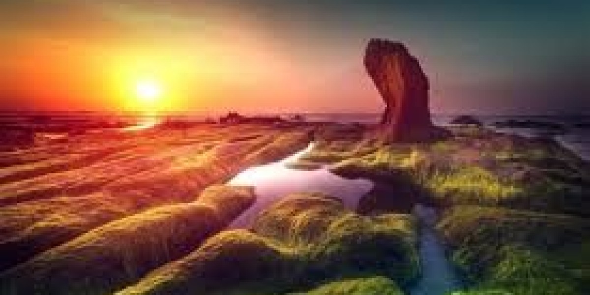 The Power of Anti-Inflammatory Nutrition for Better Long-Term Wellness