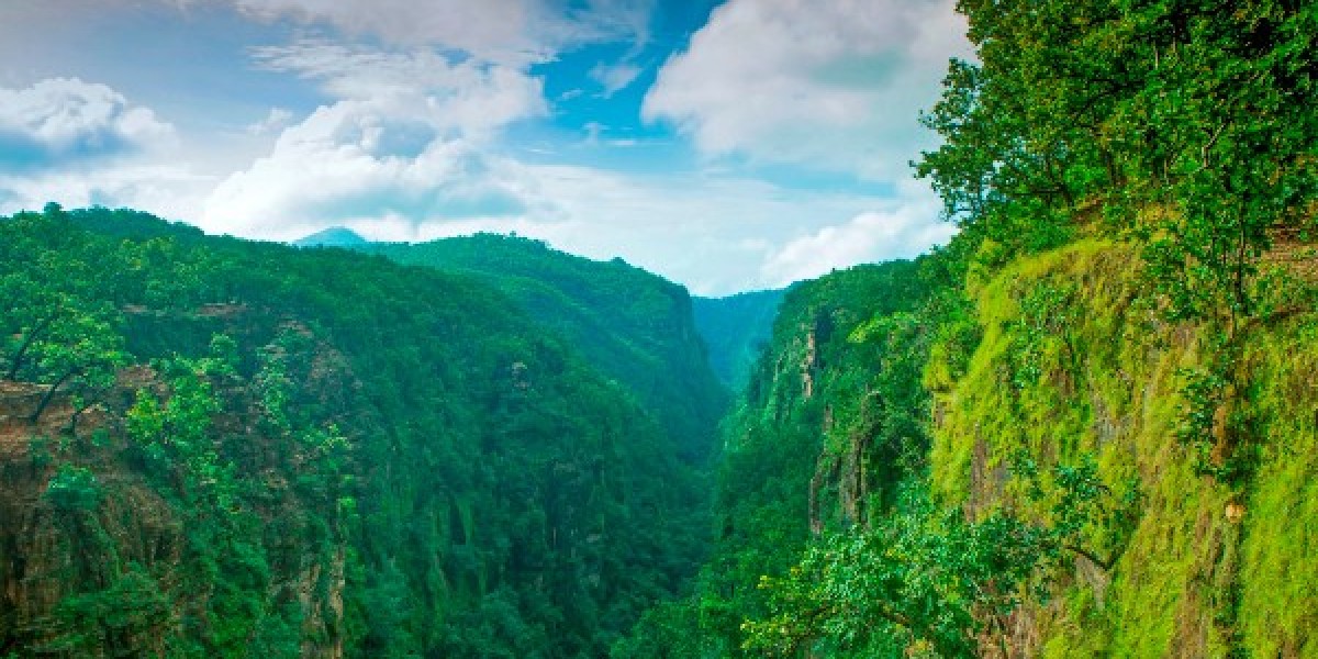 Pipariya to Pachmarhi Taxi fare