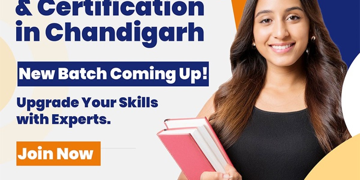 Empower Your Career with Expert Python Training