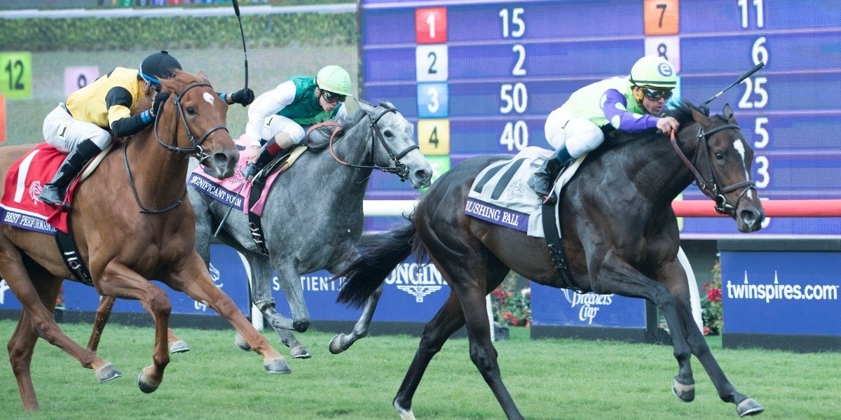 How to Read a Race Card for Smarter Horse Racing Betting