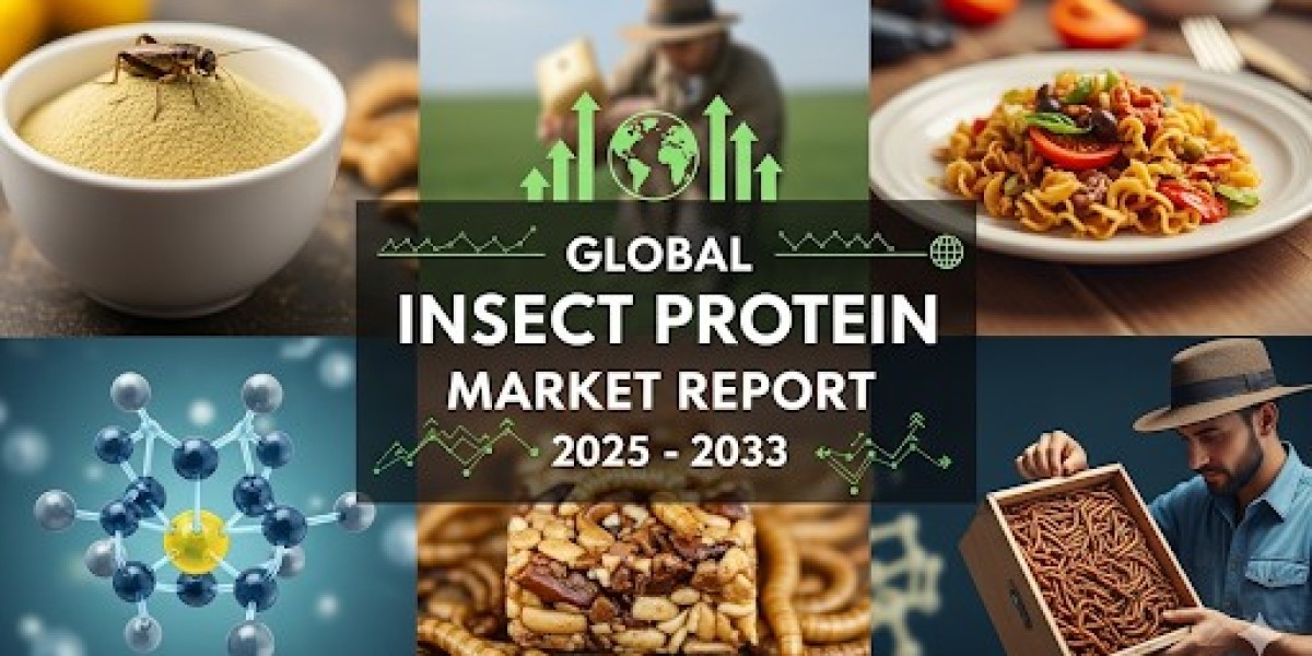 Emerging Leaders in the Insect Protein Market: Source, Application, and Distribution Channel Analysis (2025–2033)