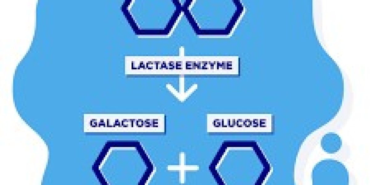 Lactase Market insights exploring lactose intolerance prevalence and product development for diverse consumer segments
