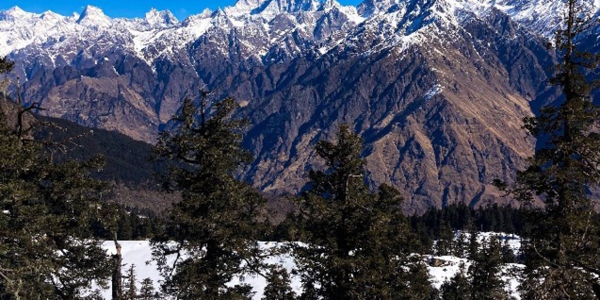 Everything You Need to Know About Kuari Pass in Winter: Packing List, Safety Tips, Budget & Route Plan