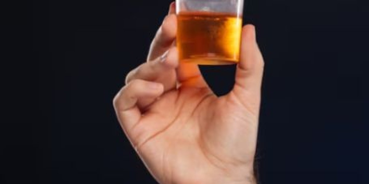 Understanding the 24-Hour Urine Albumin Test: Early Detection of Kidney Health