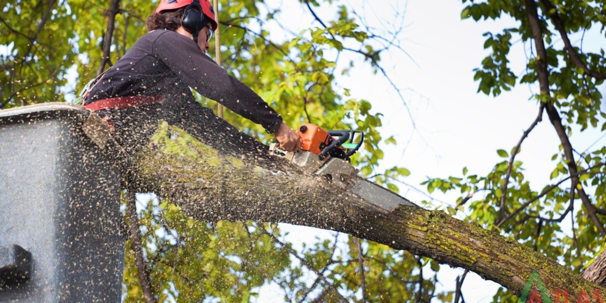 Why Choose Local Hedge Cutting Services in Hull