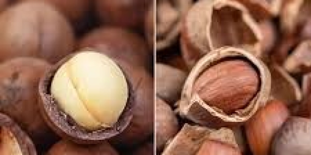 Macadamia Market Segmentation and Competitive Landscape Overview for Strategic Decision Making