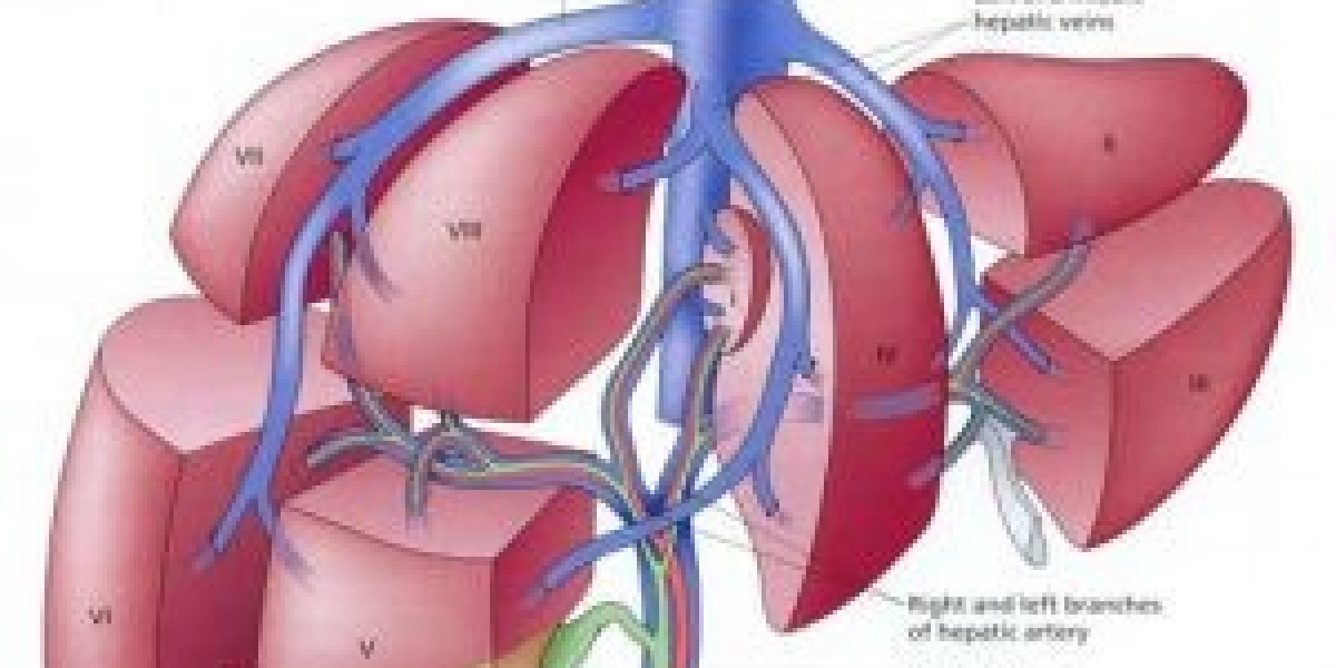 Liver Abscess Treatment in India: How IRfacilities and Dr. Sandeep Sharma Offer Fast, Safe & Minimally Invasive Reco