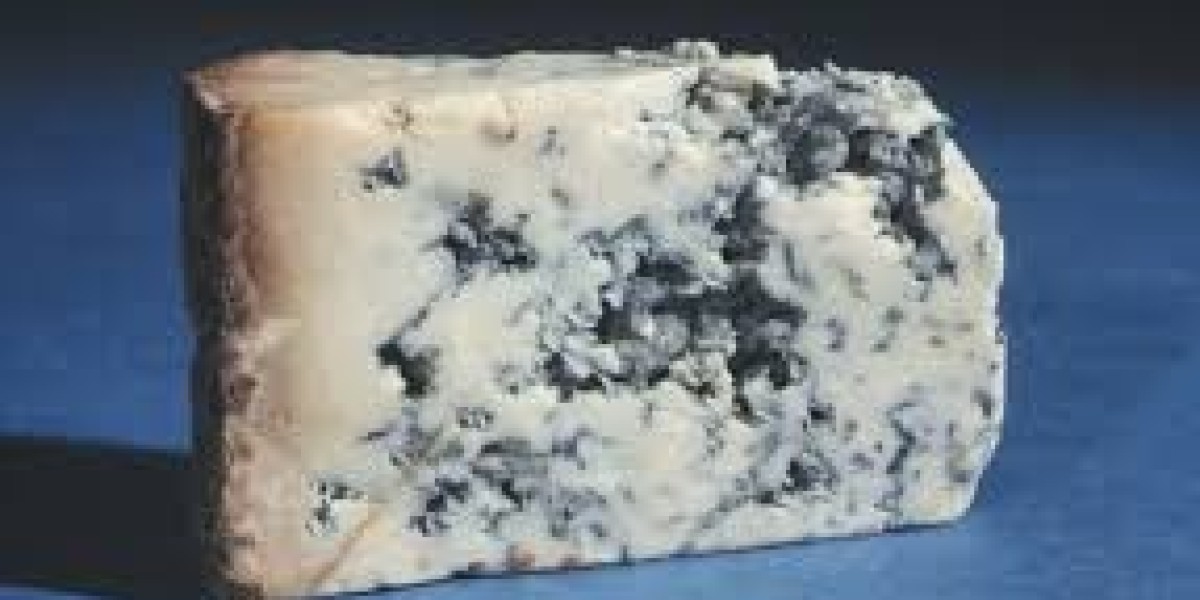 Blue Cheese Market insights revealing opportunities across foodservice and gourmet retail distribution channels