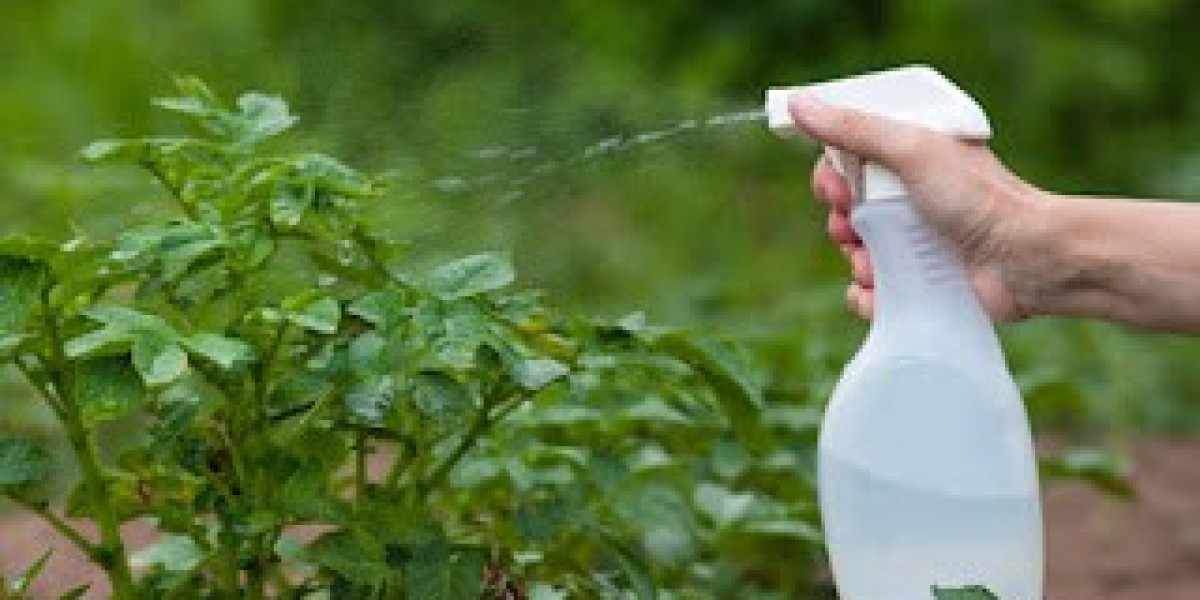 Foliar Spray Market Growth Trends  Forecast to 2033