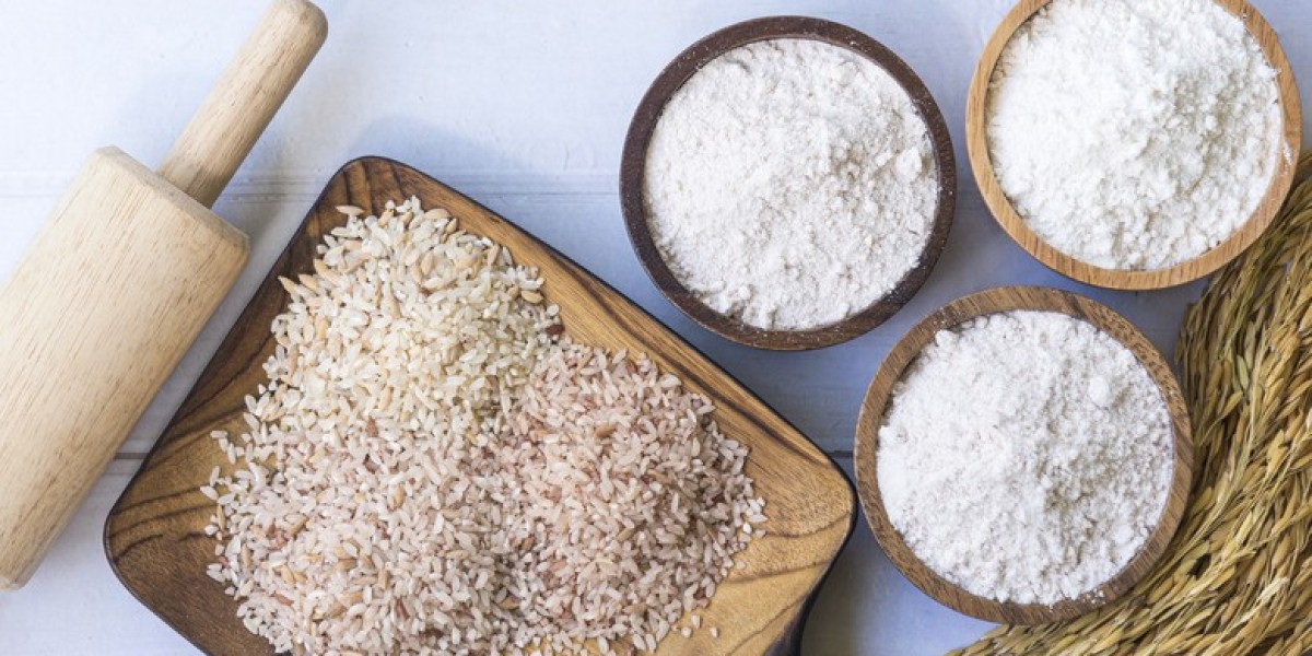 Global Rice Flour Market Insights: Segmentation and Future Trends