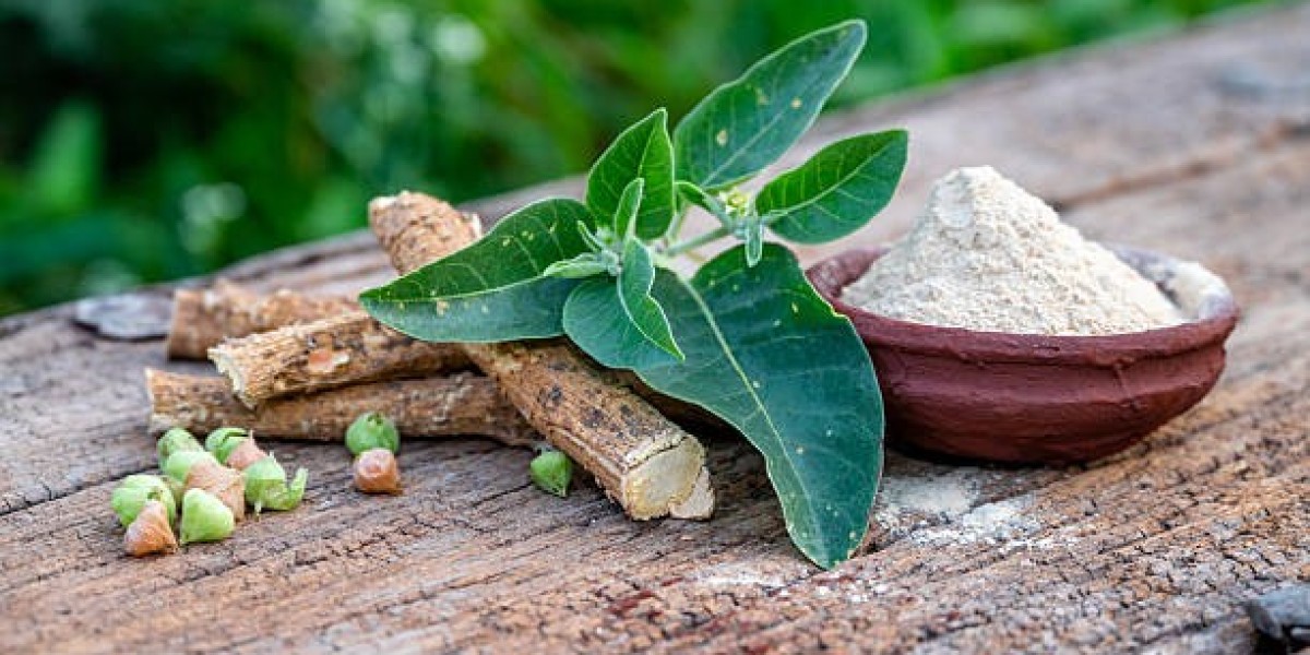 The Future of the Active Pharmaceutical Ingredients Market: How Technology Is Reshaping API Production