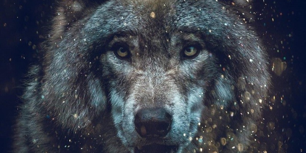 How Can Spirit Animal Meanings Guide Your Life Journey?