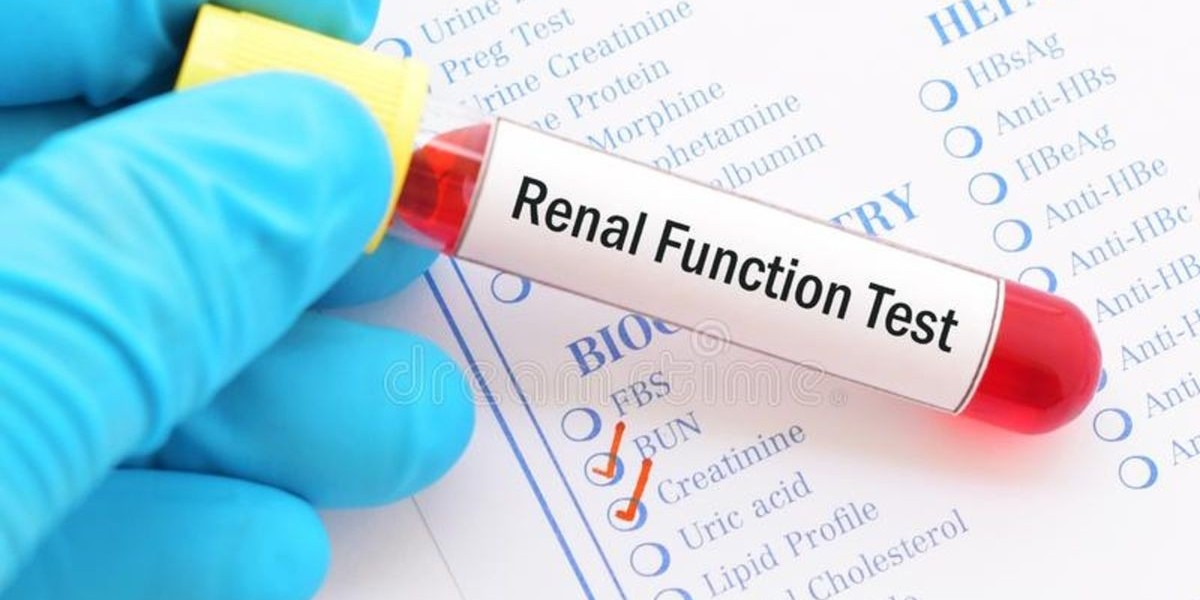 Renal Function Test (RFTs): Importance, Components, Procedure, and Role in Kidney Health