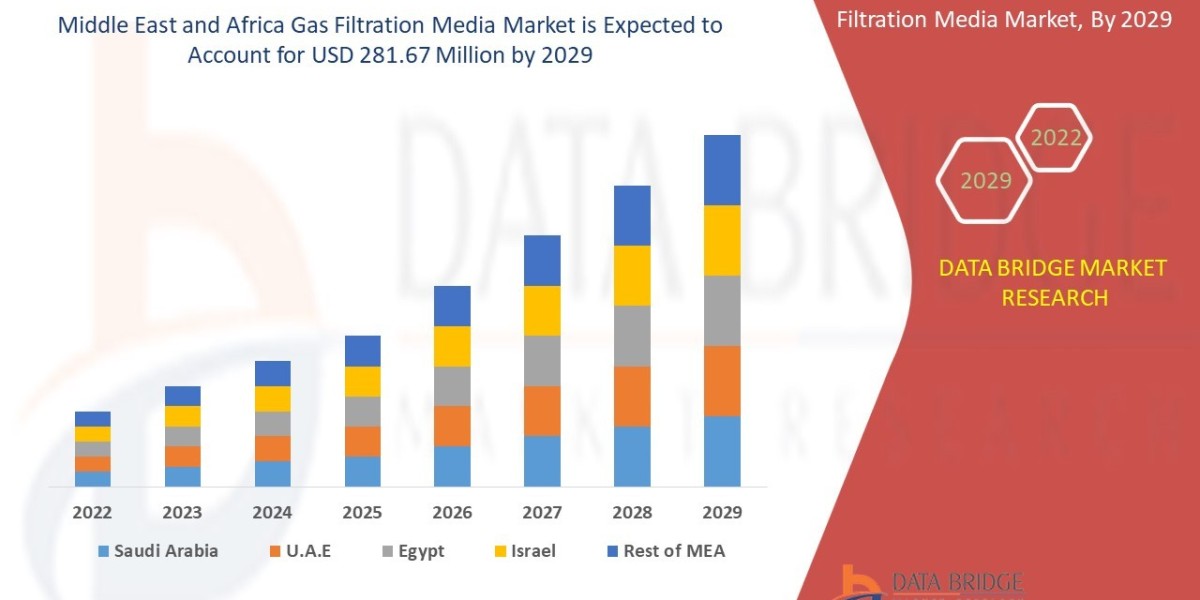 Middle East and Africa Gas Filtration Media Market Opportunities and Trends Shaping the Industry