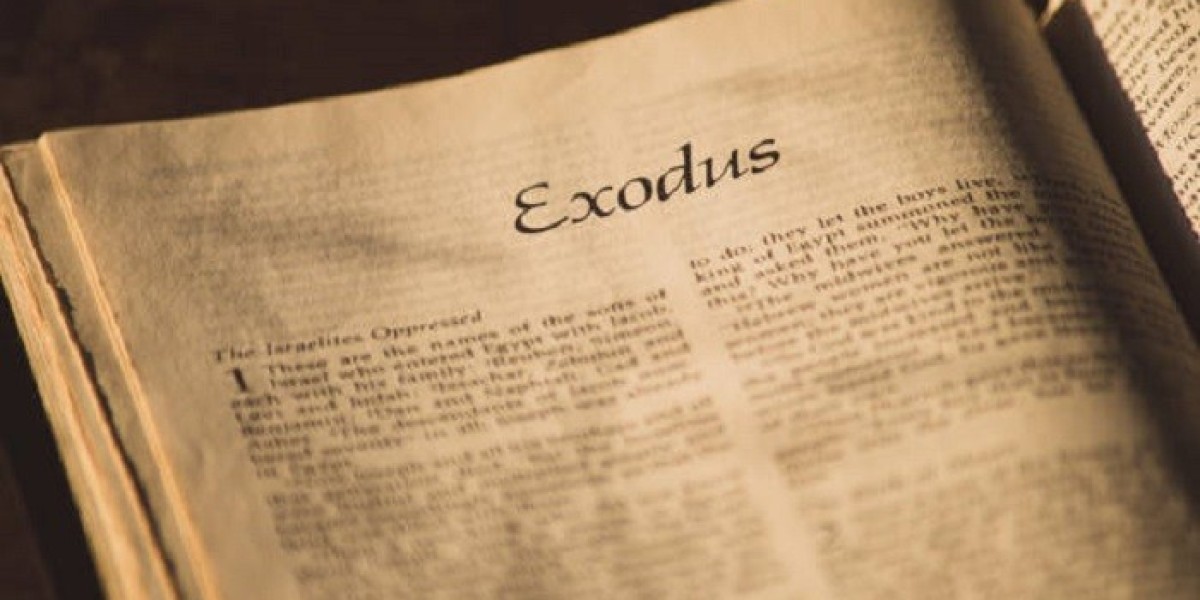 What Role Does the Book of Exodus Play in Salvation History?