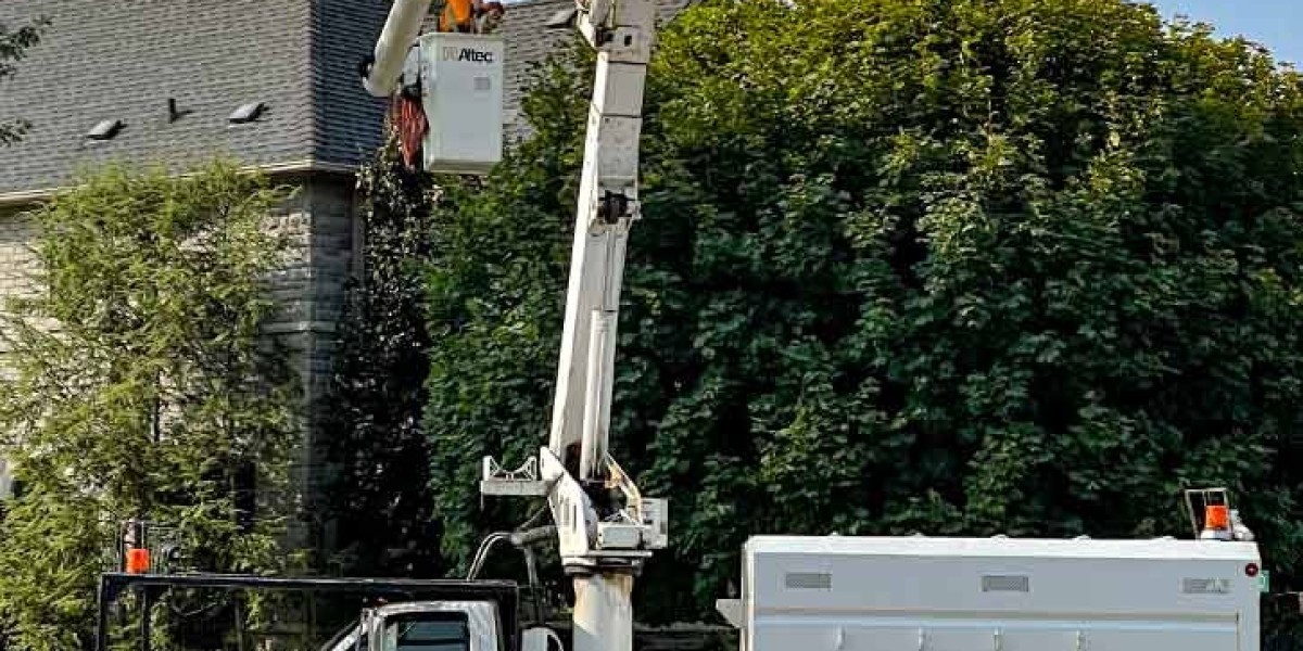Trim. Remove. Renew. – Transform Your Landscape with Expert Tree Trimming & Removal Services