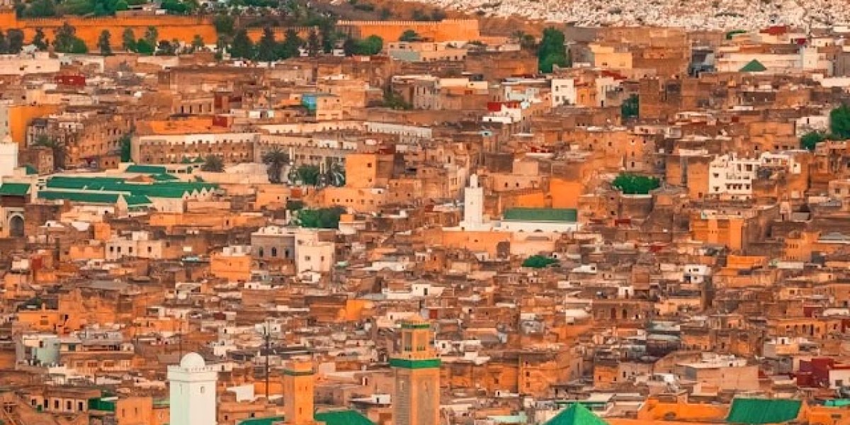 Discover Morocco With a Leading Morocco Tours Agency – Top Morocco Travel