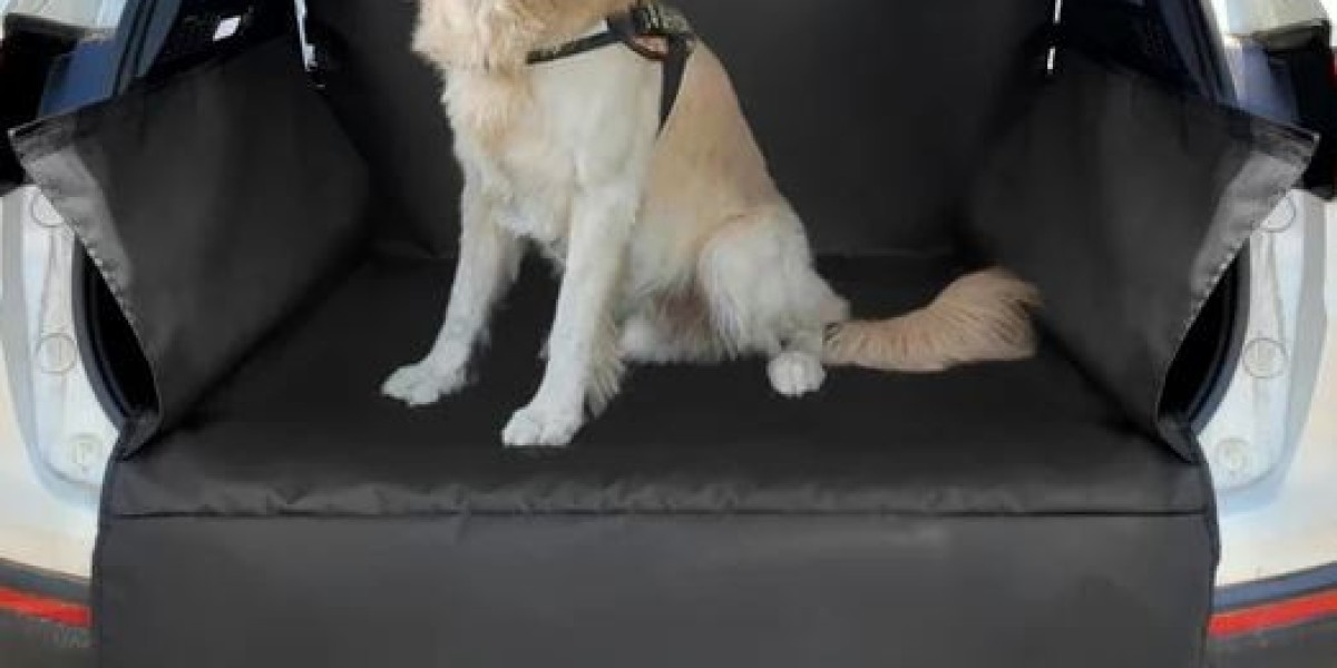 Top Pet Essentials You Need: A Complete Guide for Pet Owners in Kenya