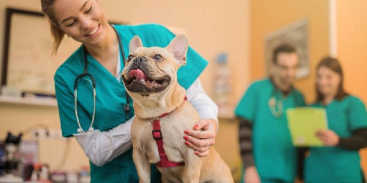 Europe Veterinary Healthcare Market Trends, Industry Growth and Analysis Report 2025