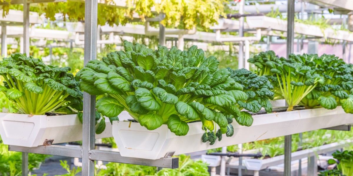 Which Region Will Lead the Home Hydroponics Market by 2030?