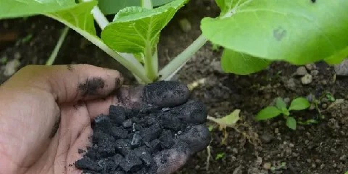 Emerging Trends in the Global Biochar Market 2025–2033
