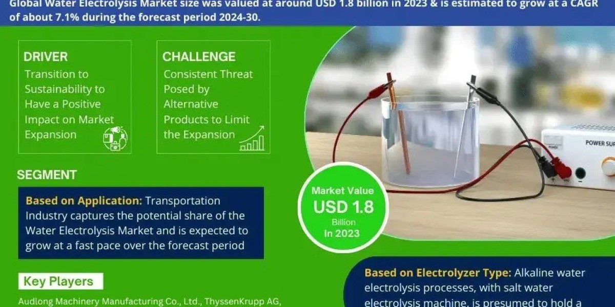 Water Electrolysis Industry Outlook 2030, 7.1% CAGR Value