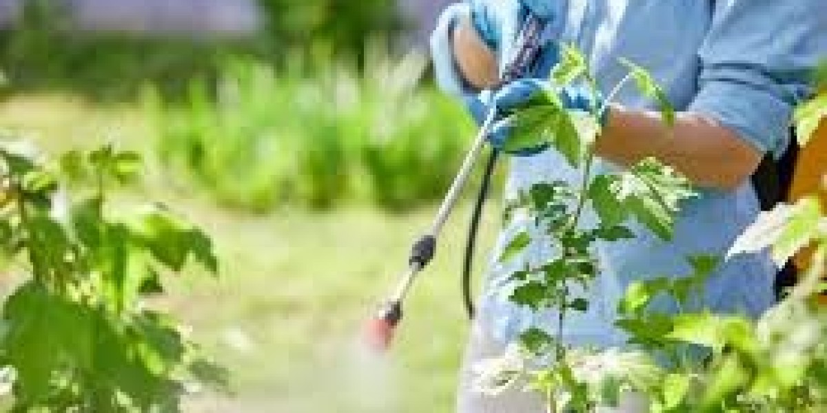 Foliar Spray Market Size Analysis, Forecast to 2033