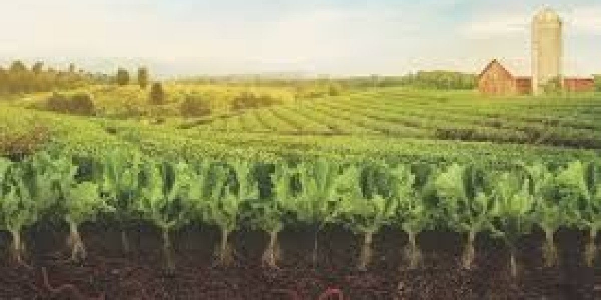 Regenerative Agriculture Market Expansion Driven by Consumer Demand for Ethical and Sustainable Food Production