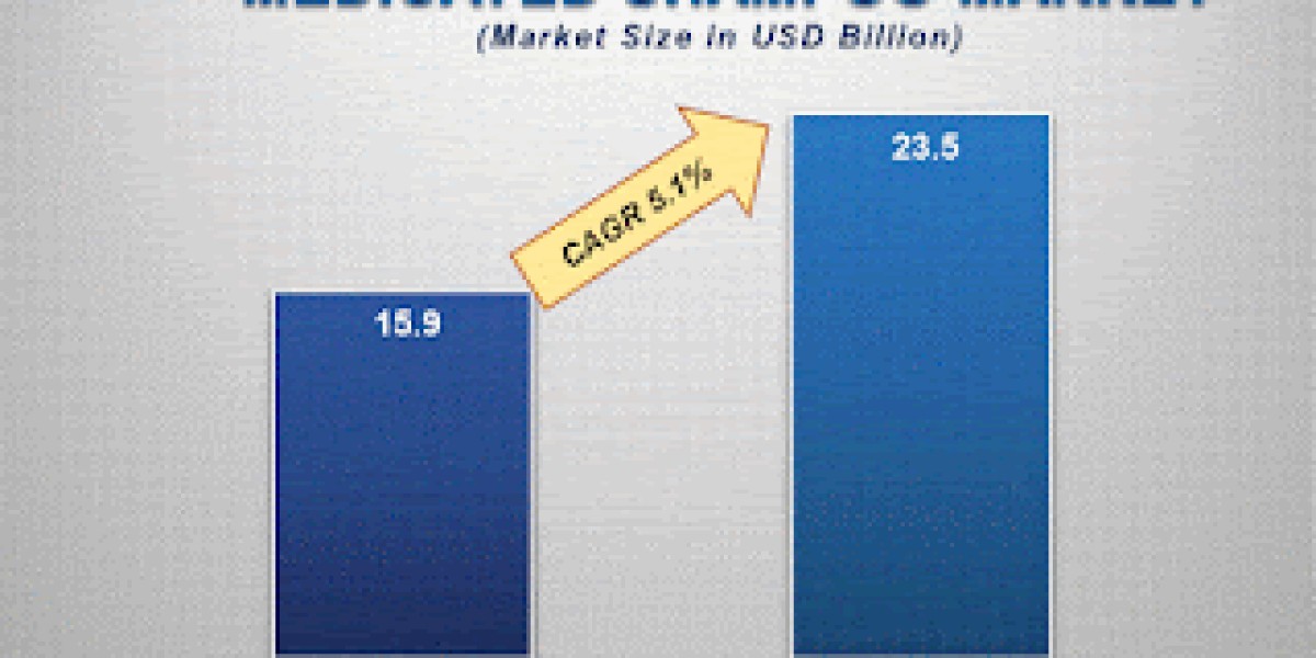 Medicated Shampoo Market Size Analysis, Growth , Forecast to 2033