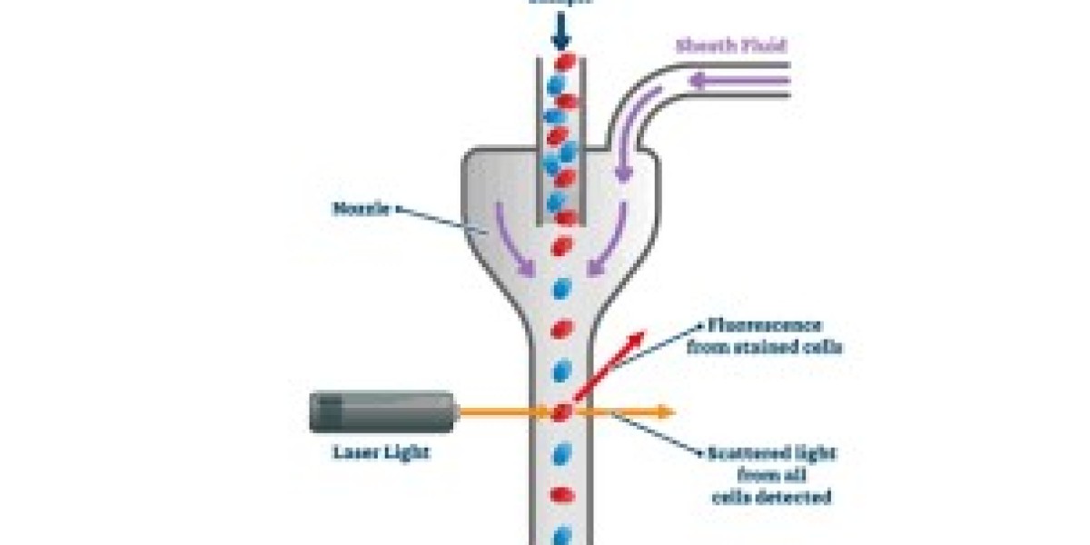 Flow Cytometry Market integration of AI and automation enhancing accuracy in clinical diagnostics