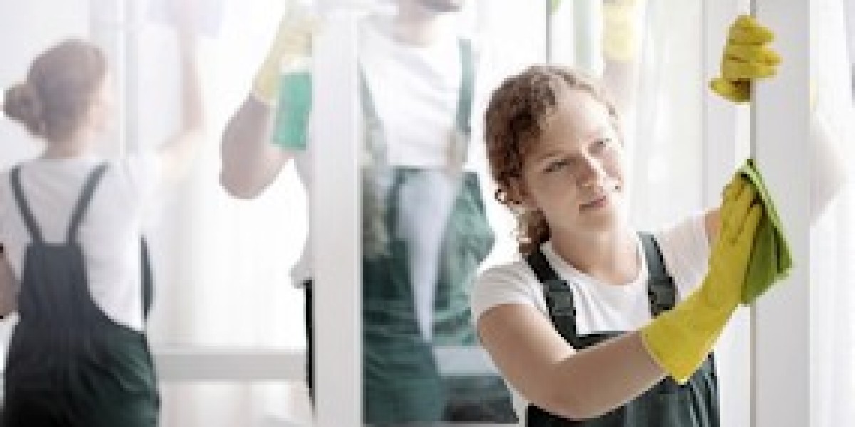 Things You May Be Doing Wrong While Cleaning Your Windows