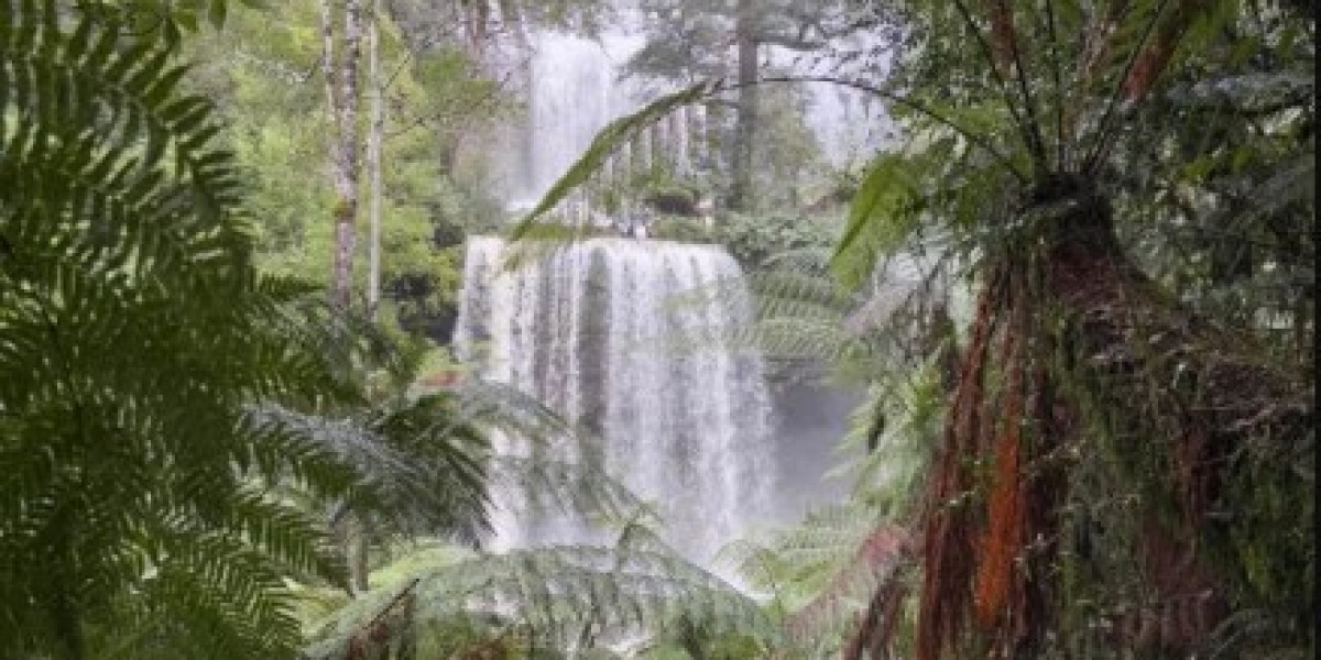 Explore Nature Up Close with a Tour to Tasmania Wildlife Sanctuary