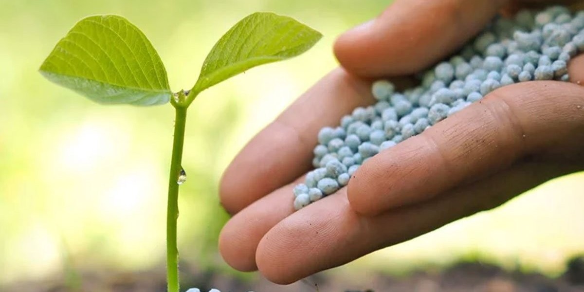 Saudi Arabia Fertilizer Market Trends, Growth, and Demand Forecast 2025-2033