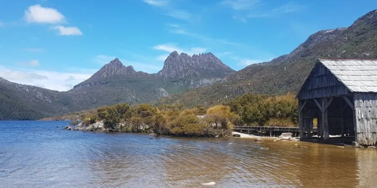 Experience the Ultimate Tour to Tasmania Wildlife Sanctuary Today