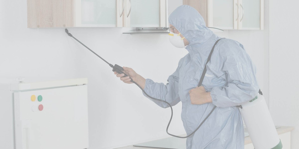 Pest Control Singapore | Trusted Local Experts