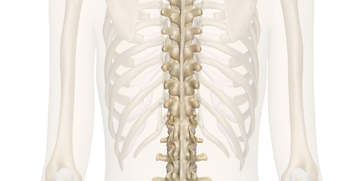 Spine surgery hospital in Hisar