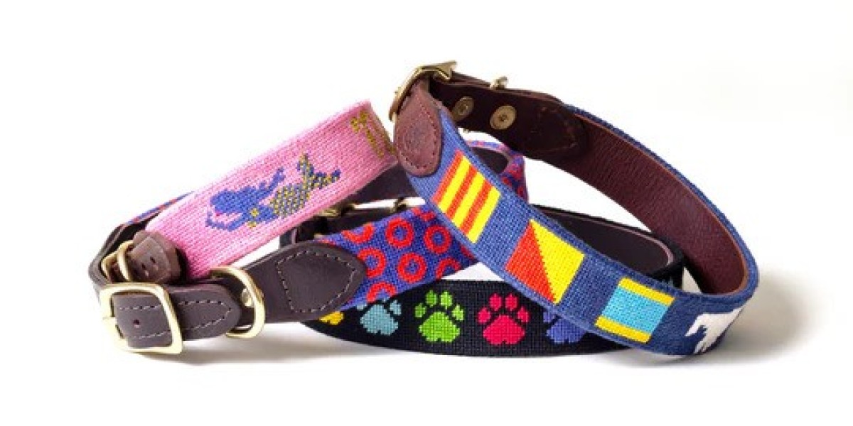 Elevate Your Pet’s Style with Premium Stitched Dog Collars