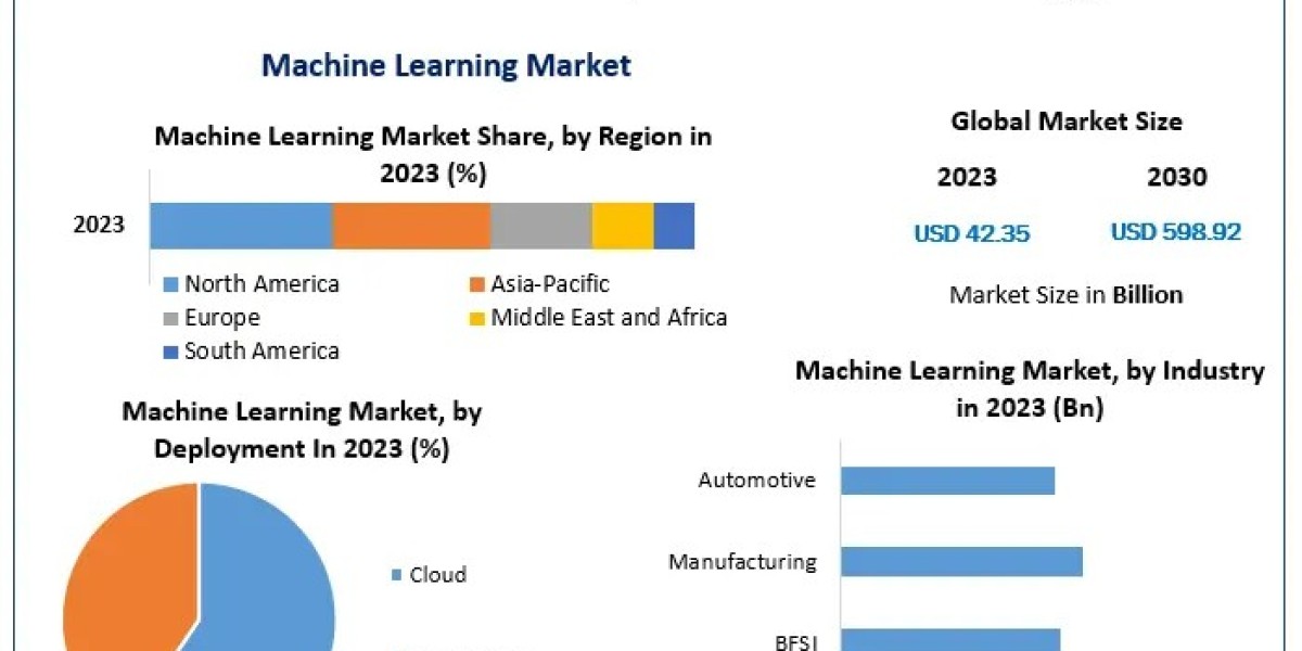 Machine Learning Market Growth Outlook, Key Trends, and Opportunities (2024-2030)