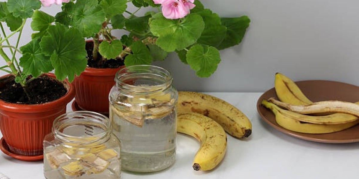 Why the Micronutrient Fertilizers Market Is Essential for Food Security and Sustainable Growth